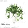 観葉植物 人工樹木 フェイクグリーン 造花 オリヅルラン G 高さ300mm 鉢:SA-4(WH) 卓上-5