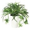 観葉植物 人工樹木 フェイクグリーン 造花 オリヅルラン G 高さ300mm 鉢:SA-4(WH) 卓上-19