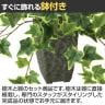 観葉植物 人工樹木 フェイクグリーン 造花 グレイシアアイビー 高さ350mm 鉢:Pスクエア(BK) 卓上-3