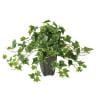 観葉植物 人工樹木 フェイクグリーン 造花 グレイシアアイビー 高さ350mm 鉢:Pスクエア(BK) 卓上-19