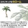 観葉植物 人工樹木 フェイクグリーン 造花 セローム 高さ1500mm 鉢:SA-10(WH)-3