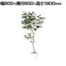 観葉植物 人工樹木 フェイクグリーン 造花 インドボダイジュ FST 高さ1800mm 鉢:SA-10(WH)