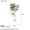 観葉植物 人工樹木 フェイクグリーン 造花 インドボダイジュ FST 高さ1800mm 鉢:SA-10(WH)-6