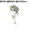 観葉植物 人工樹木 フェイクグリーン 造花 インドボダイジュ FST 高さ1500mm 鉢:SA-8(WH)