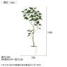 観葉植物 人工樹木 フェイクグリーン 造花 インドボダイジュ FST 高さ1500mm 鉢:SA-8(WH)-1