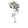 観葉植物 人工樹木 フェイクグリーン 造花 インドボダイジュ FST 高さ1500mm 鉢:SA-8(WH)-19