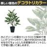 観葉植物 人工樹木 フェイクグリーン 造花 デコラトリカラー FST 高さ800mm 鉢:SA-6(BK)-2