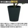 観葉植物 人工樹木 フェイクグリーン 造花 デコラトリカラー FST 高さ800mm 鉢:SA-6(BK)-3