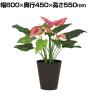 観葉植物 人工樹木 フェイクグリーン 造花 カラー 高さ550mm 鉢:SA-6(BK) 卓上