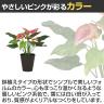 観葉植物 人工樹木 フェイクグリーン 造花 カラー 高さ550mm 鉢:SA-6(BK) 卓上-2