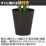観葉植物 人工樹木 フェイクグリーン 造花 カラー 高さ550mm 鉢:SA-6(BK) 卓上-3