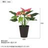観葉植物 人工樹木 フェイクグリーン 造花 カラー 高さ550mm 鉢:SA-6(BK) 卓上-5