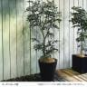 観葉植物 人工樹木 フェイクグリーン 造花 トネリコ FST 高さ1200mm 鉢:SA-7(WH)-1