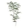 観葉植物 人工樹木 フェイクグリーン 造花 トネリコ FST 高さ1200mm 鉢:SA-7(WH)-19