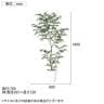 観葉植物 人工樹木 フェイクグリーン 造花 トネリコ FST 高さ1800mm 鉢:SA-10(WH)-1