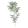 観葉植物 人工樹木 フェイクグリーン 造花 トネリコ FST 高さ1800mm 鉢:SA-10(WH)-19