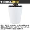 観葉植物 人工樹木 フェイクグリーン 造花 ブラッサイア 高さ1700mm 鉢:SA-10(WH)-3