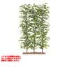 観葉植物 人工 樹木 ベンジャミナスプラッシュパーテーション 高さ1500mm Mサイズ 鉢:ガーデンペット