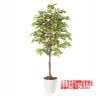 観葉植物 人工 樹木 ベンジャミナスプラッシュ 高さ1500mm Mサイズ 鉢:RP-265