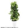 観葉植物 人工樹木 フェイクグリーン 造花 MIXヘゴ グリーン/ライム 高さ1500mm 鉢:SA-10(WH)-19
