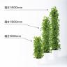 観葉植物 人工樹木 フェイクグリーン 造花 ライムポトスヘゴ 高さ1800mm 鉢:SA-10(WH)-1