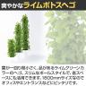 観葉植物 人工樹木 フェイクグリーン 造花 ライムポトスヘゴ 高さ1800mm 鉢:SA-10(WH)-3