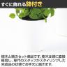 観葉植物 人工樹木 フェイクグリーン 造花 ライムポトスヘゴ 高さ1800mm 鉢:SA-10(WH)-4