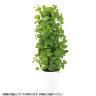 観葉植物 人工樹木 フェイクグリーン 造花 ライムポトスヘゴ 高さ1800mm 鉢:SA-10(WH)-19
