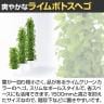 観葉植物 人工樹木 フェイクグリーン 造花 ライムポトスヘゴ 高さ1500mm 鉢:SA-10(WH)-3