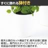 観葉植物 人工樹木 フェイクグリーン 造花 ライムポトスヘゴ 高さ1500mm 鉢:SA-10(WH)-4