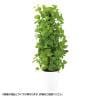 観葉植物 人工樹木 フェイクグリーン 造花 ライムポトスヘゴ 高さ1500mm 鉢:SA-10(WH)-19