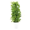 観葉植物 人工樹木 フェイクグリーン 造花 ライムポトスヘゴ 高さ900mm 鉢:SA-7(WH)-19