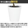 観葉植物 人工樹木 フェイクグリーン 造花 ドウダンツツジ FST 高さ1300mm 鉢:SA-7(WH)-3
