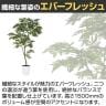 観葉植物 人工樹木 フェイクグリーン 造花 エバーフレッシュ FST 高さ1500mm 鉢:SA-8(WH)-2
