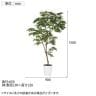 観葉植物 人工樹木 フェイクグリーン 造花 エバーフレッシュ FST 高さ1500mm 鉢:SA-8(WH)-5