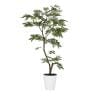 観葉植物 人工樹木 フェイクグリーン 造花 エバーフレッシュ FST 高さ1200mm 鉢:SA-7(WH)-19