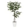 観葉植物 人工樹木 フェイクグリーン 造花 ベンジャミン FST 高さ1200mm 鉢:SA-7(WH)-19