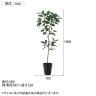 観葉植物 人工樹木 フェイクグリーン 造花 デコラゴム FST 高さ1800mm 鉢:SA-10(BK)-1