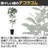 観葉植物 人工樹木 フェイクグリーン 造花 デコラゴム FST 高さ1800mm 鉢:SA-10(BK)-2