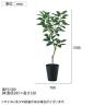 観葉植物 人工樹木 フェイクグリーン 造花 デコラゴム FST 高さ1500mm 鉢:SA-10(BK)-5