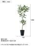 観葉植物 人工樹木 フェイクグリーン 造花 デコラトリカラー FST 高さ1800mm 鉢:SA-10(BK)-1