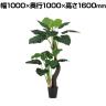 観葉植物 人工樹木 フェイクグリーン 造花 クワズイモ株立 ブラックポット付き 高さ1600mm