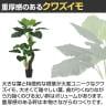 観葉植物 人工樹木 フェイクグリーン 造花 クワズイモ株立 ブラックポット付き 高さ1600mm-3