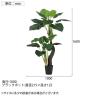観葉植物 人工樹木 フェイクグリーン 造花 クワズイモ株立 ブラックポット付き 高さ1600mm-6