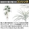 観葉植物 人工樹木 フェイクグリーン 造花 コンシンネ 高さ1800mm 鉢:SA-10(WH)-3