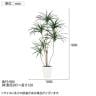 観葉植物 人工樹木 フェイクグリーン 造花 コンシンネ 高さ1800mm 鉢:SA-10(WH)-6