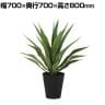 観葉植物 人工樹木 フェイクグリーン 造花 アガベ・アメリカーナ 高さ800mm 鉢:SA-8(BK)