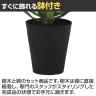 観葉植物 人工樹木 フェイクグリーン 造花 アガベ・アメリカーナ 高さ800mm 鉢:SA-8(BK)-4