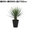 観葉植物 人工樹木 フェイクグリーン 造花 ユッカ・ロストラータ 高さ700mm 鉢:SA-7(BK)