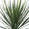 観葉植物 人工樹木 フェイクグリーン 造花 ユッカ・ロストラータ 高さ700mm 鉢:SA-7(BK)-2